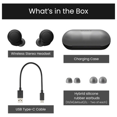Sony WF-C500 True Wireless Bluetooth Earbuds – 10+10H Battery, Fast USB-C Charge, DSEE Sound, Clear Calls, Compact Case, IPX4 Sweat-Resistant, Android Fast Pair
