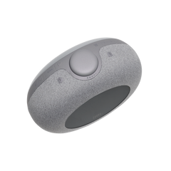 مكبر صوت JBL HORIZON 2 مزود بساعة راديو وبلوتوث